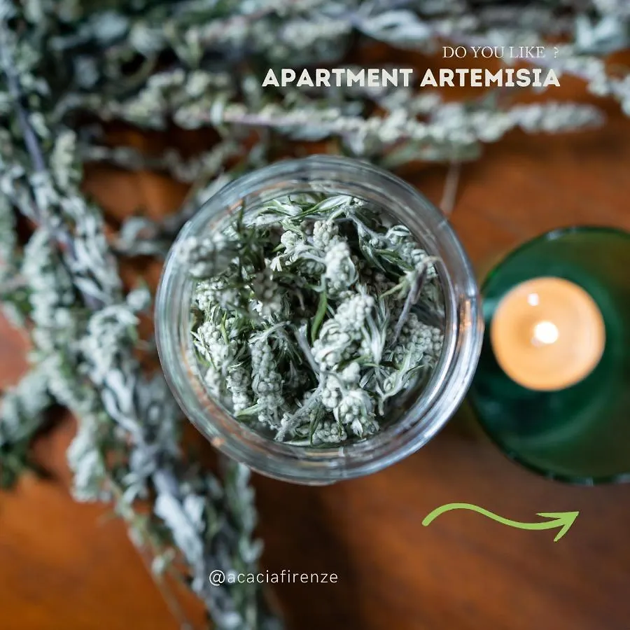 Acacia Firenze Apartments Artemisia-Angelica Italie